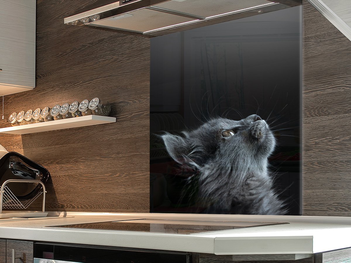 Printed Glass Splashbacks DomoStone
